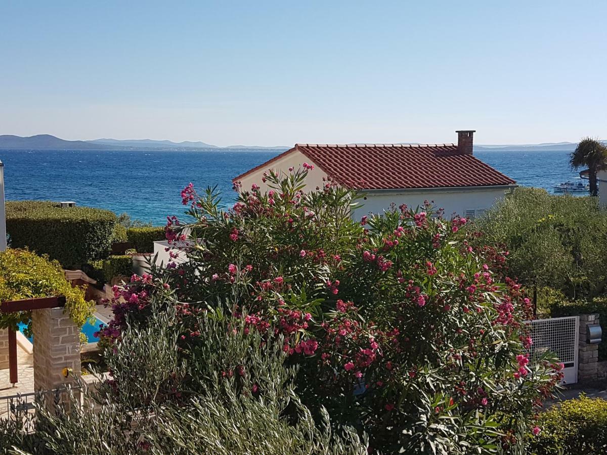 Apartament Roko *