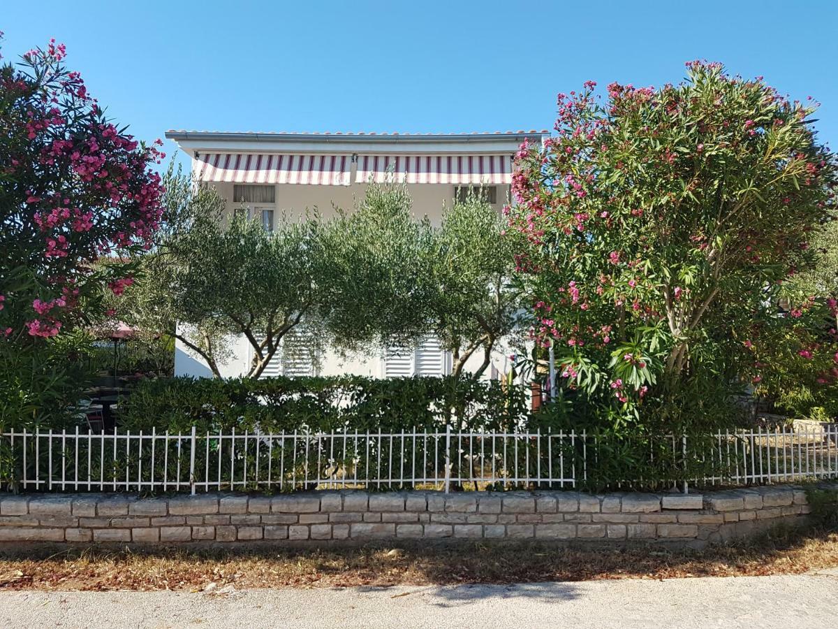 Apartment Roko Petrcane